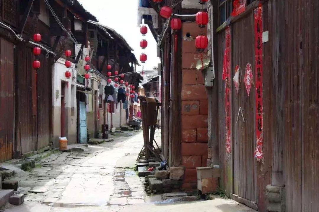 芭比的大学之旅